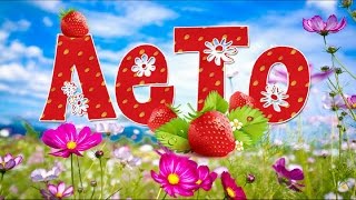весёлое лето картинки онлайн весёлое лето картинки