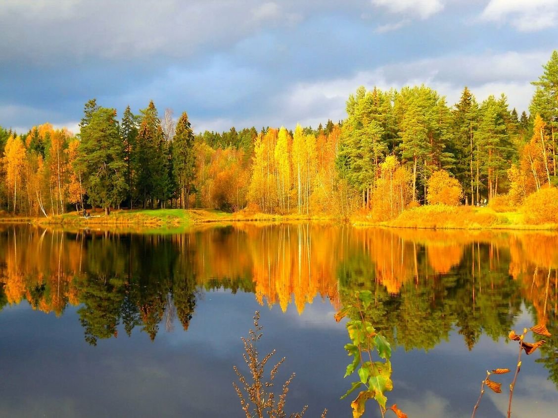 Саровский лес осень